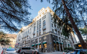 Spacious apartment in the city center II